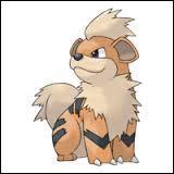 Câlin ou féroce ? Mieux vaut ne pas tenter de savoir mais pour l'instant on peux encore essayer, c'est...