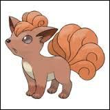 Le Pokémon d'au-dessus est l'évolution de celui-ci. C'est...