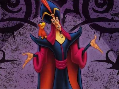 Comment s'appelle ce sorcier qui veut épouser Jasmine pour être sultan ?