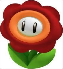 A quoi sert cette fleur ?