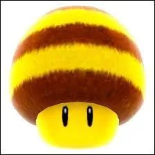 A quoi sert ce champignon ?