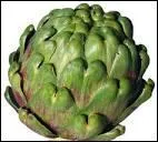 C'est Catherine de Médicis qui fit franchir les Alpes à l'artichaut, cet ancien chardon sauvage, domestiqué pour notre plaisir.