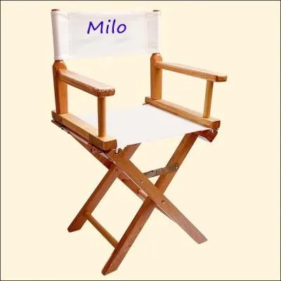 Qui est le réalisateur de l'émission ?