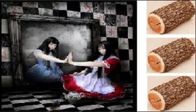 Qu'est-ce qui correspond à l'illustration ?