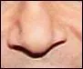A quelle célébrité appartient ce nez ?