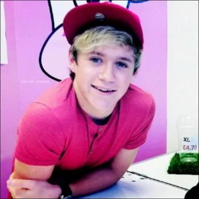 Quel est le nom de famille de Niall ?