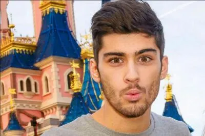 Quel est le nom de famille de Zayn ?