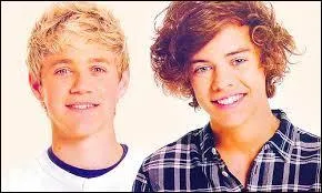 Qui a voulu s'éloigner des One Direction, par moments ?