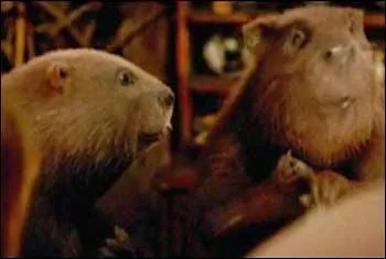 Quelle est cette famille ?