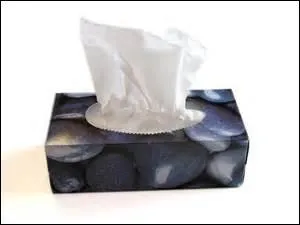 Quel est le nom du nouveau type de mouchoirs créé par les inventeurs de la marque Kleenex ?