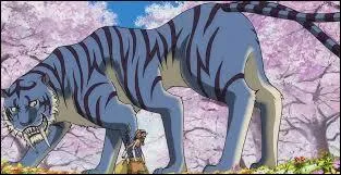 Que va-t-il arriver aux animaux de cette île ?