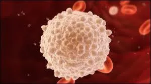 Qu'est-ce que le sang envoie dans l'organisme ?