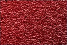 Combien compte-t-on de globules rouges dans un millimètre cube de sang ?