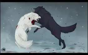 Qui est le loup noir ?