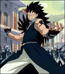 Quels sont les chasseurs de dragons de Fairy Tail ?