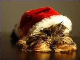 Qui chante "Joyeux Noël" ?