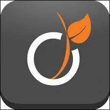 Quel est ce réseau social ?