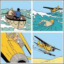 Dans l'album "Le Crabe aux pinces d'or", Tintin s'empare d'un hydravion puis s'écrase en plein Sahara. Dans quel pays va-t-il errer dans le désert en compagnie du capitaine Haddock ?