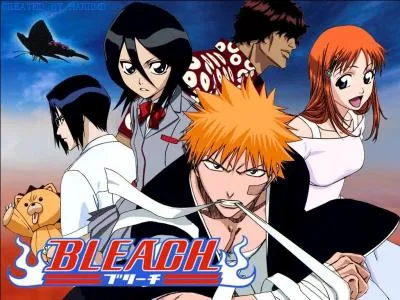 Qui est le personnage principal dans Bleach ?