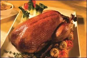 Que signifie "pato" ?