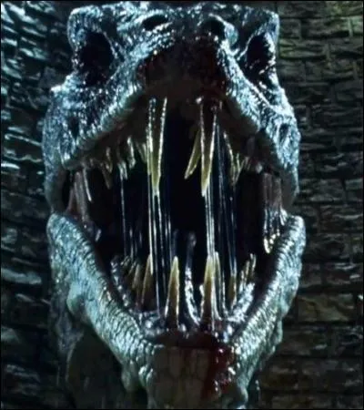 TOP 5 : La Chambre des Secrets (HP2).
Dans quelle partie du Basilic Harry enfonce-t-il l'épée de Gryffondor ?