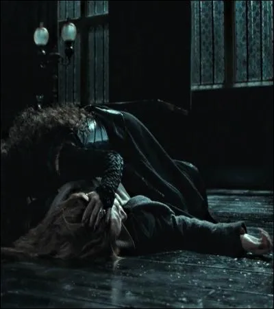 TOP 3 : L'interrogatoire d'Hermione (HP 7.1).
Pourquoi Bellatrix torture-t-elle Hermione sur le parquet du salon des Malefoy ?