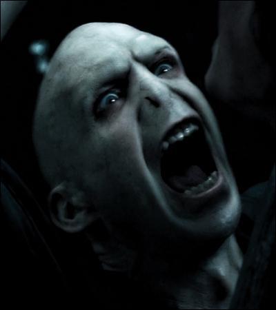 TOP 2 : Le cimetière de Little Hangleton (HP4).Pourquoi Voldemort peut-il désormais toucher le corps d'Harry ?