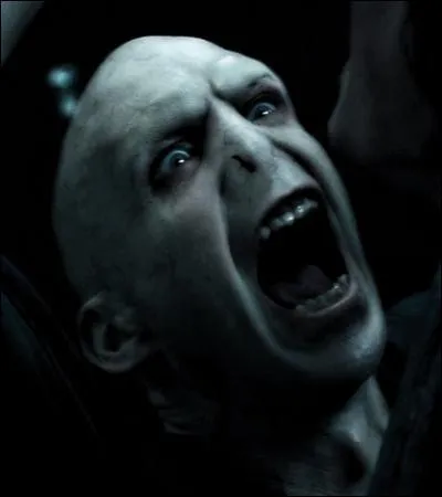 TOP 2 : Le cimetière de Little Hangleton (HP4).
Pourquoi Voldemort peut-il désormais toucher le corps d'Harry ?