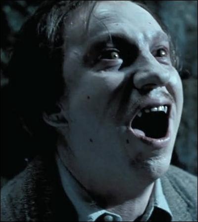TOP 12 : La transformation de Remus Lupin (HP 3).Avec sa ruse, qui empêche le loup de dévorer Harry ?