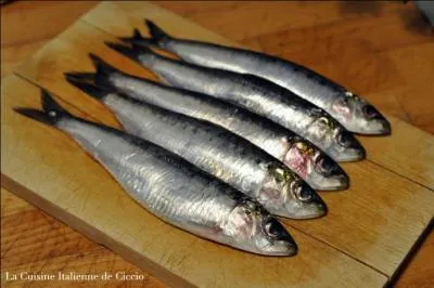 Les amateurs de poissons peuvent goûter une sardinade :
