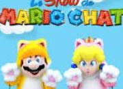 Quiz Le show de Mario Chat