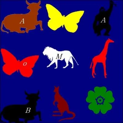 La combinaison : papillon rouge, vache noire, singe noir, lion blanc et vache marron. Quelle est la bonne réponse ?