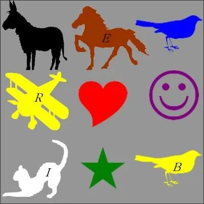 La combinaison : oiseau jaune, avion jaune, chat blanc et cheval marron. Quelle est la bonne réponse ?