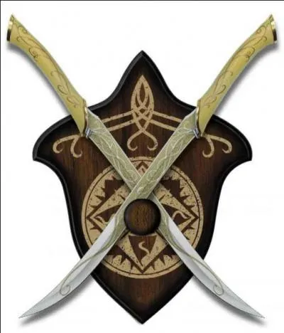 A qui appartiennent ces sabres ?