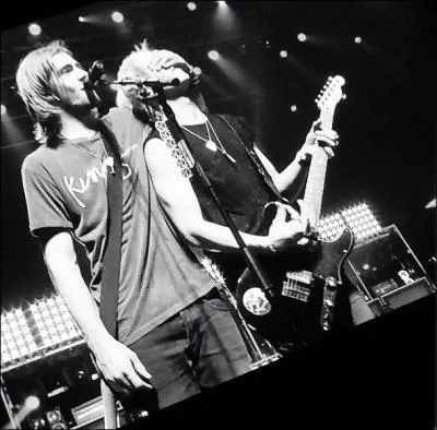 Quelle est la couleur préférée de Ross ?