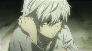 Qu'est-ce que "N" ou ''Near'' passe son temps à faire ?