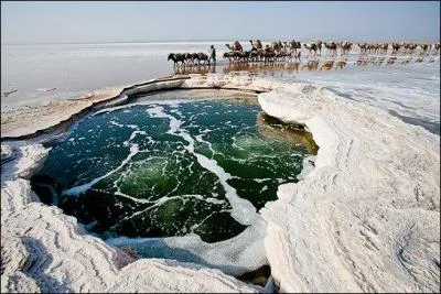 Quel est ce lieu magique, dans le désert du Danakil ( entre Djibouti et Éthiopie), où les hommes font le commerce du sel depuis l'Antiquité ?