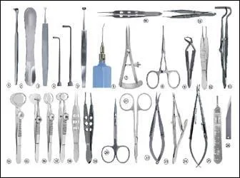 Qu'est-ce qu'une "fibro" ?