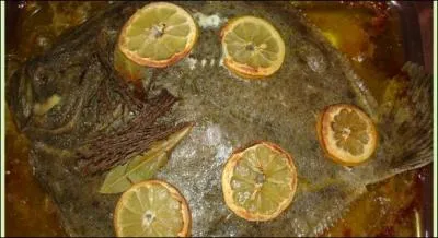 Les inconditionnels du poisson seront gâtés, et ils vont tout de suite reconnaître ce poisson plat en forme de losange :