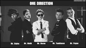 Quel clip est sorti le 7 janvier 2013 ?