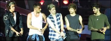 De quel pays sont-ils originaires (sauf Niall) ?