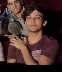 Quelle célèbre phrase Louis a-t-il prononcée pendant les vidéos diaries ? "I love girls who eat...