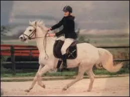 Quelles sont les aides artificielles ?