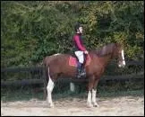 Pour arrêter ton cheval ou ton poney :