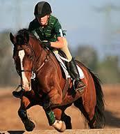 Quiz Galop 2