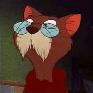 Qui est ce vieux chat ?