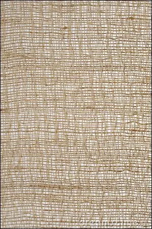 Le mot commence par Vi :