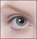 À qui appartient cet il ?