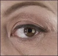 À qui appartient cet il ?