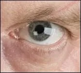 À qui appartient cet il ?